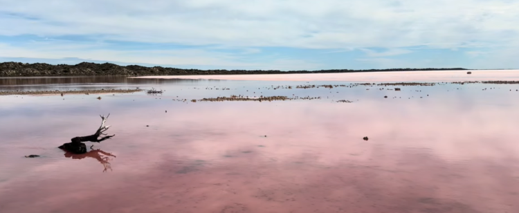 【珀斯】自然奇觀：赫特潟湖、尖峰石陣與最美粉紅湖的兩日遊